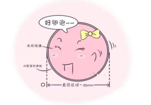 去乌克兰做试管移植之后注意这些事项让你的努力不再白费